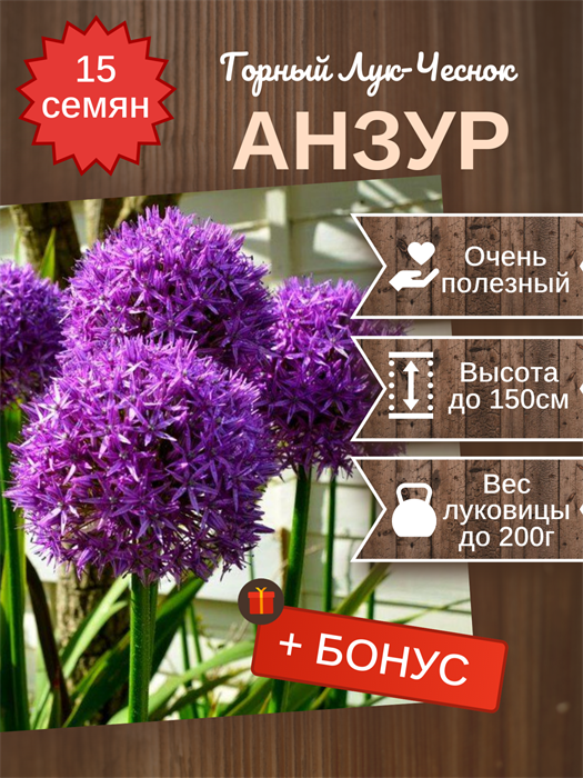 Анзур Горный Лук-Чеснок семена 15 шт + Бонус + Рекомендации по посадке 10457