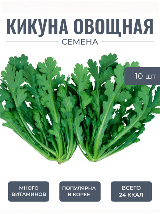 Кикуна Овощная семена 10 шт + Бонус + Рекомендации по проращиванию 10458