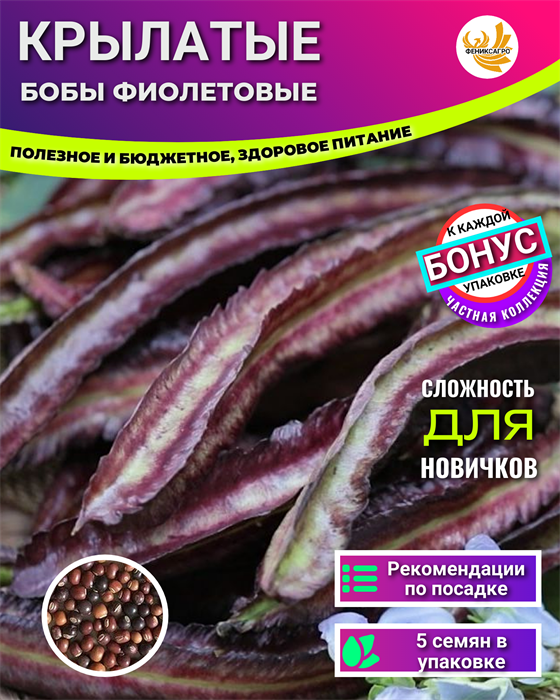 Крылатые Бобы Фиолетовые семена 5 шт + Бонус + Рекомендации по проращиванию 10053