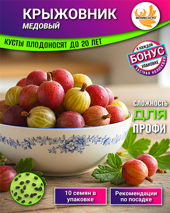 КРЫЖОВНИК Медовый семена 10 шт + Бонус + Рекомендации по посадке БЕСПЛАТНО! 10477