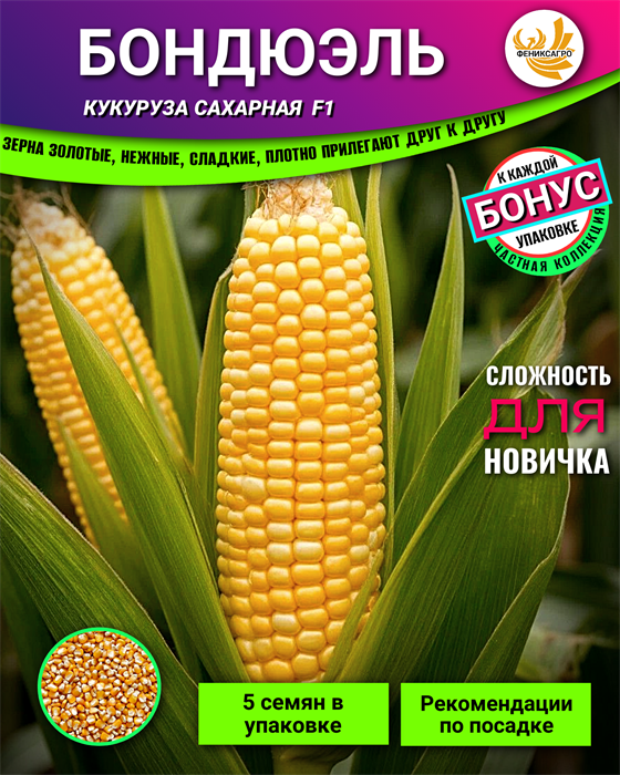 Кукуруза БОНДЮЭЛЬ Сахарная семена 5шт + Бонус + Рекомендации по проращиванию 10485