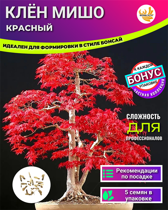 Клён Красный МИШО-Семена для Бонсай 5 шт + Бонус + Рекомендации по посеву БЕСПЛАТНО! 10055