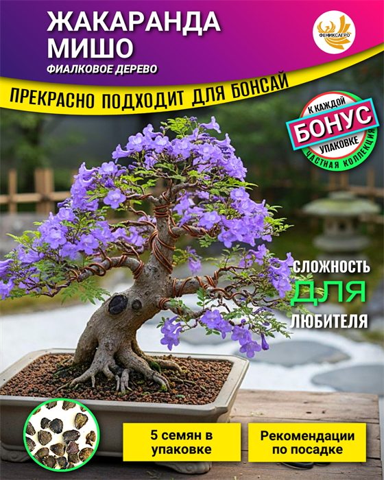 Жакаранда МИШО-Семена для Бонсай 5 семян + Бонус + Рекомендации по посеву БЕСПЛАТНО! 10490