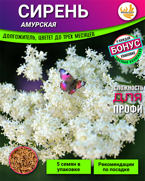 СИРЕНЬ Амурская семена 5шт + Советы по Посеву + Подарок 10493