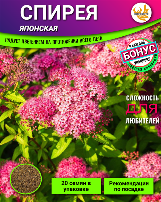 СПИРЕЯ Японская семена 20шт + Советы по Посеву + Подарок 10503