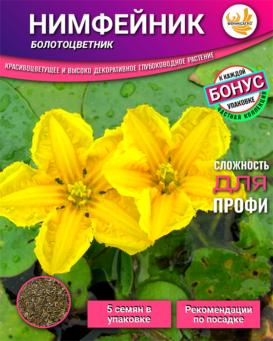 НИМФЕЙНИК семена 5шт + рекомендации по проращиванию + Подарок 10508