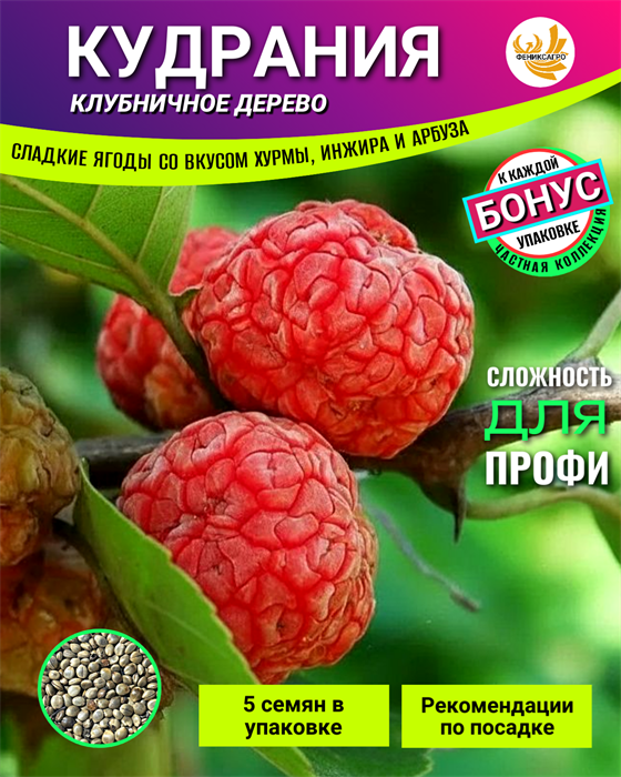 КУДРАНИЯ "Клубничное Дерево" семена 5шт + Бонус + Рекомендации по посеву БЕСПЛАТНО! 10509