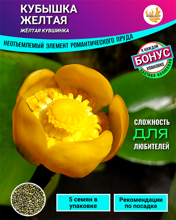 КУБЫШКА Желтая семена 5шт + рекомендации по проращиванию + Подарок 10512