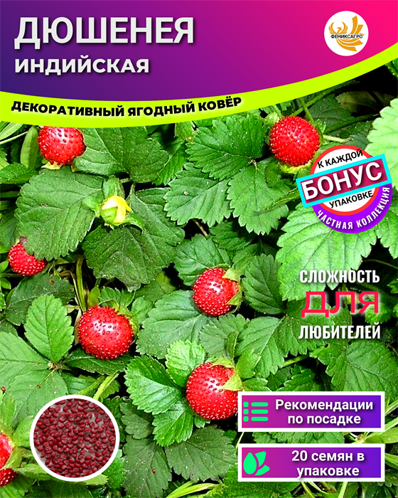 Дюшенея Индийская семена 20шт + Бонус + Рекомендации по посадке БЕСПЛАТНО 10061