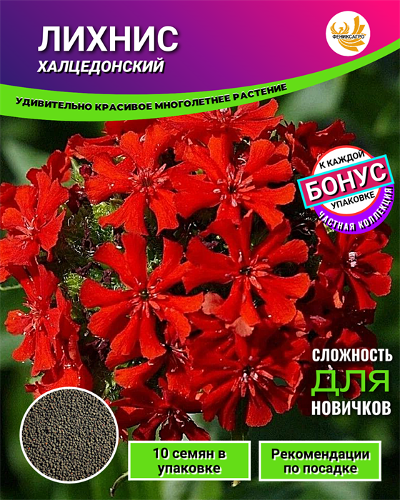 ЛИХНИС Халцедонский семена 10шт + Бонус + Рекомендации по посадке БЕСПЛАТНОЛИХНИС Халцедонский семена 10шт + Бонус + Рекомендации по посадке БЕСПЛАТНО 10534