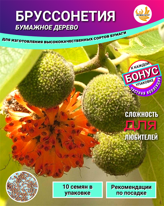 БРУССОНЕТИЯ Бумажное Дерево семена 10шт + Бонус + Рекомендации по проращиванию БЕСПЛАТНО 10536