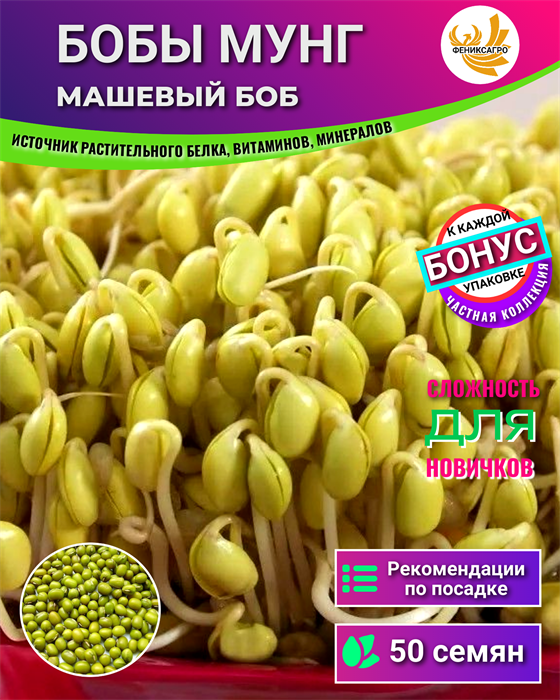 Бобы Мунг машевый боб семена 50 шт + Бонус + Рекомендации по посеву БЕСПЛАТНО! 10539