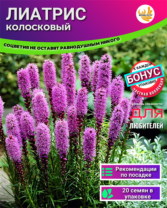 Лиатрис семена 20шт + Бонус + Рекомендации по посеву БЕСПЛАТНО! 10062