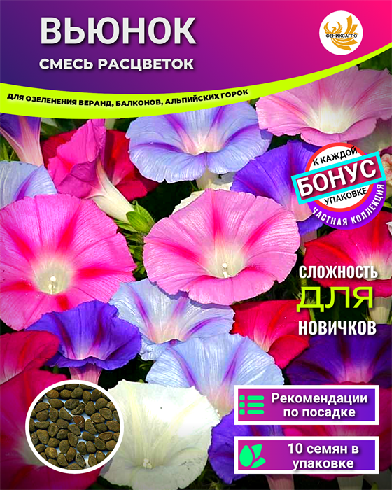 Вьюнок Смесь Расцветок семена 10шт + Советы по Посеву + Подарок 10567