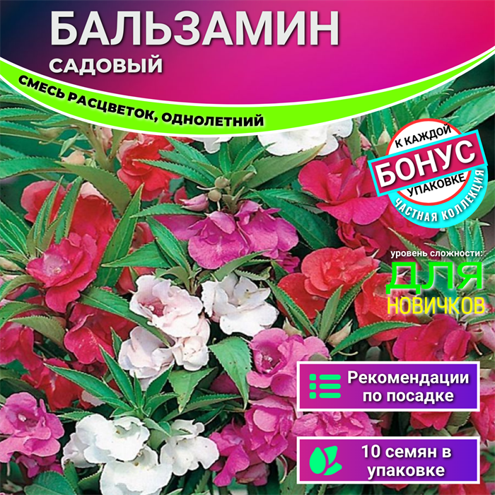 Бальзамин Садовый Смесь Семена 10 шт + Бонус + Рекомендации по посеву БЕСПЛАТНО! 10569