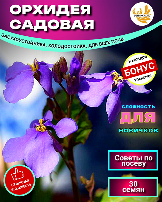 Орхидея Садовая семена 30 шт + Бонус + Рекомендации по проращиванию 10070