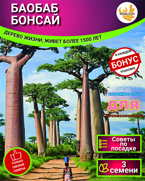 БАОБАБ Бонсай семена 3 шт + Советы по Посеву + Подарок 10071
