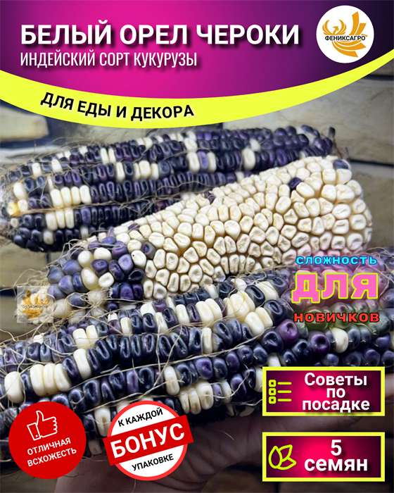Кукуруза Белый Орёл Чероки семена 5 шт + Бонус + Рекомендации по проращиванию 10076