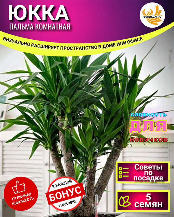 ЮККА Комнатная Семена 5 шт + Бонус + Рекомендации по посеву БЕСПЛАТНО! 10078
