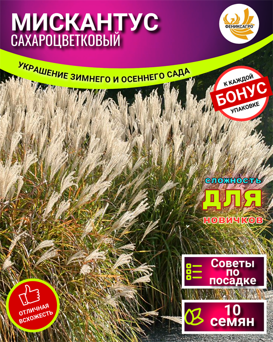 МИСКАНТУС Сахароцветковый Семена 10 шт + Бонус + Рекомендации по посеву БЕСПЛАТНО! 10085