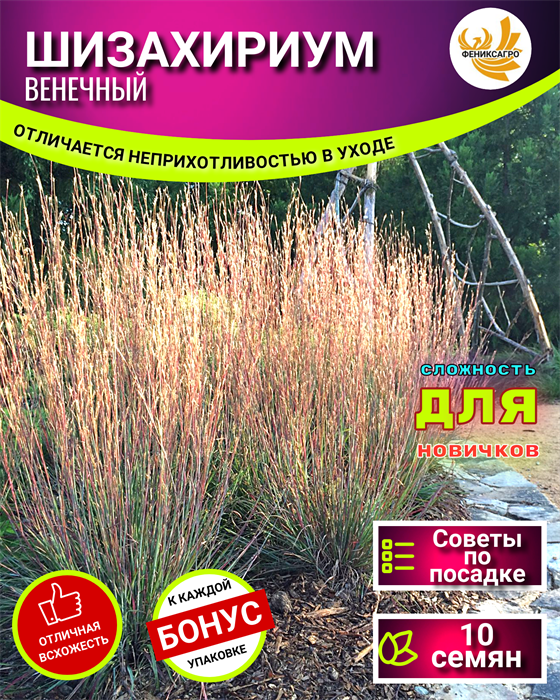 ШИЗАХИРИУМ Венечный Семена 10 шт + Бонус + Рекомендации по посеву БЕСПЛАТНО! 10086