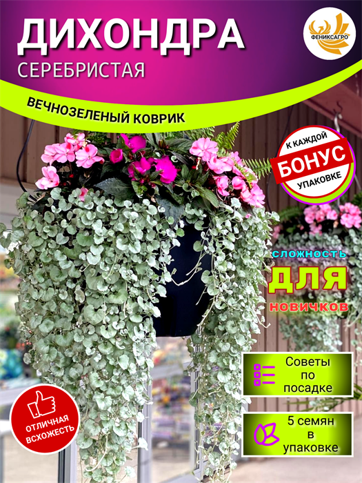 Дихондра Серебристая Семена 5 шт + Бонус + Рекомендации по посеву БЕСПЛАТНО! 10093