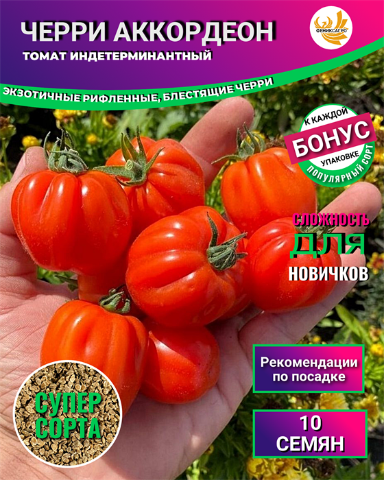 Томат Черри Аккордеон семена 10 шт + Бонус + Рекомендации по посеву БЕСПЛАТНО! 10017