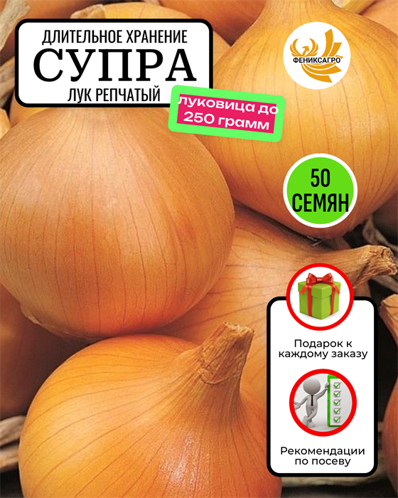Супра Лук Репчатый семена 50 шт со Своего Огорода + Советы по Посеву + Подарок 10096