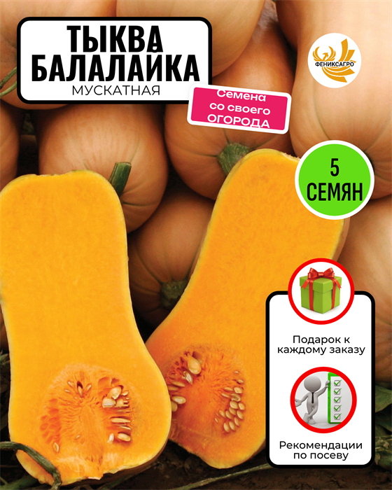 Тыква "Балалайка" Мускатная семена 5 шт со Своего Огорода + Советы по Посеву + Подарок 10107