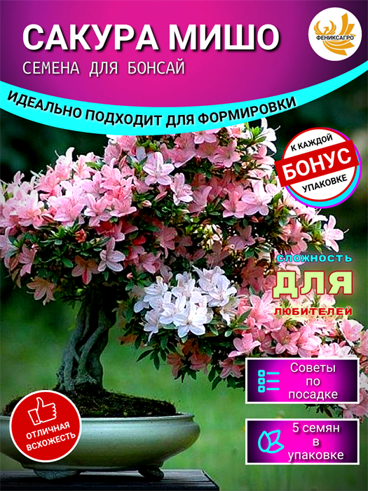 Сакура МИШО-Семена для Бонсай 5 шт + Бонус + Рекомендации по посеву БЕСПЛАТНО! 10154