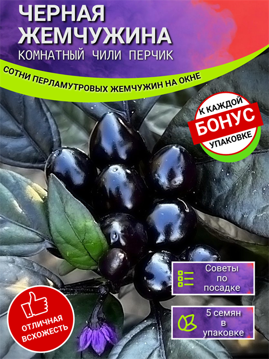 Перец комнатный Черная Жемчужина чили семена 5 шт + Бонус + Рекомендации по посеву БЕСПЛАТНО! 10159
