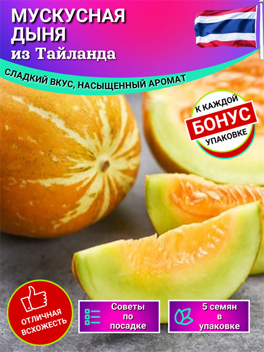 Тайская Мускусная Дыня семена 5шт + Бонус + Рекомендации по посеву БЕСПЛАТНО! 10162