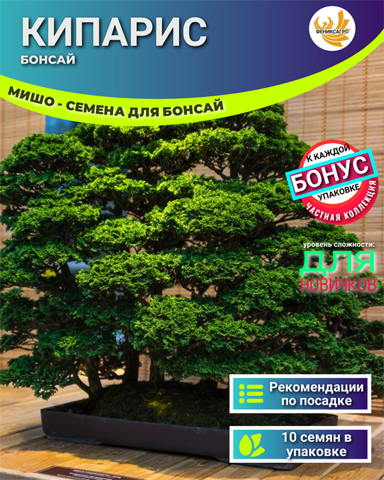 Кипарис МИШО-Семена для Бонсай 10 шт + Бонус + Рекомендации по посеву БЕСПЛАТНО! 10172