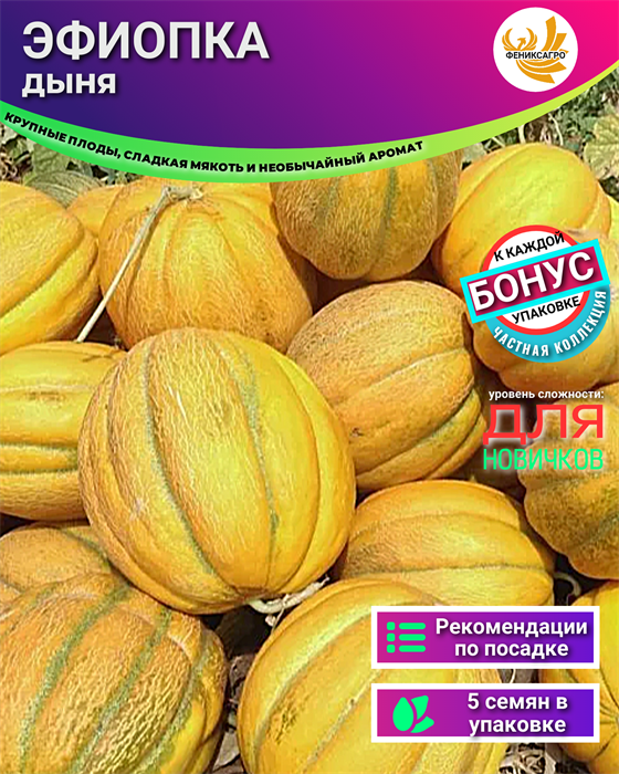 Дыня Эфиопка семена 5шт + Бонус + Рекомендации по посеву БЕСПЛАТНО! 10174