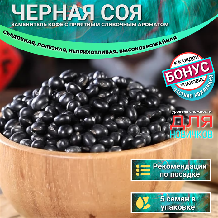 Черная Соя Заменитель Кофе семена 5 шт + Бонус + Рекомендации по посеву БЕСПЛАТНО! 10176