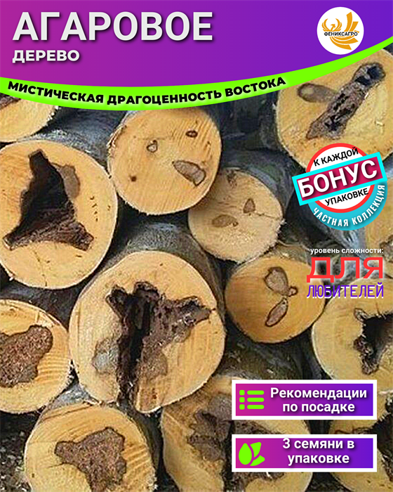 Агаровое Дерево Семена 3 шт + Бонус + Рекомендации по посеву 10177