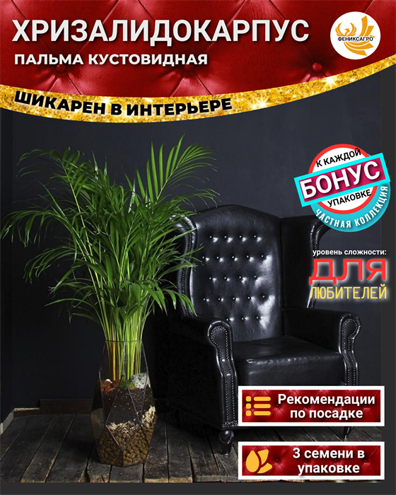 Хризалидокарпус Пальма Кустовидная семена 3 шт + Бонус + Рекомендации по посеву 10179