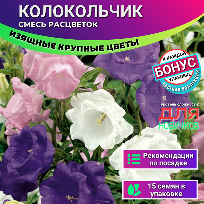 Колокольчик Махровый смесь окрасок семена 15шт + Бонус + Рекомендации по посеву БЕСПЛАТНО! 10187