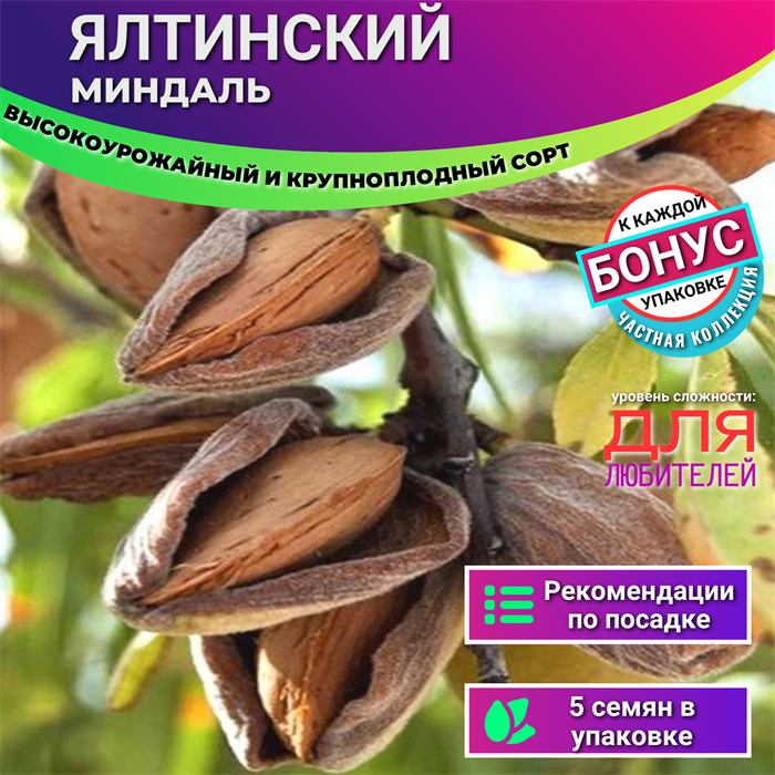 Миндаль Ялтинский Высокоурожайный орехи 5 шт + Бонус + Рекомендации по посеву 10189