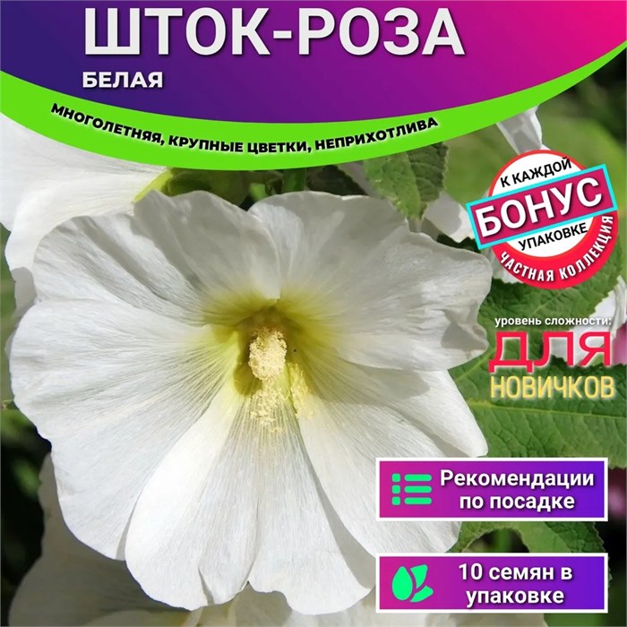 Шток-Роза Белая Семена 10 шт + Бонус + Рекомендации по посеву БЕСПЛАТНО! 10195