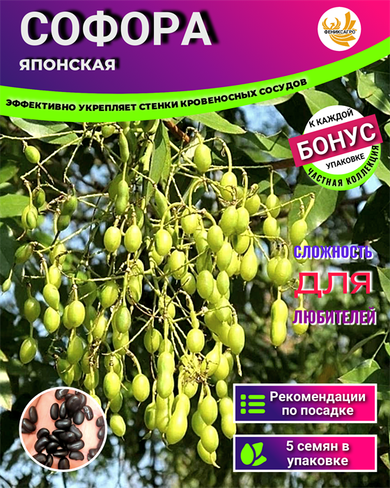 Софора Японская семена 5 шт + Бонус + Инструкции по посеву БЕСПЛАТНО! 10029
