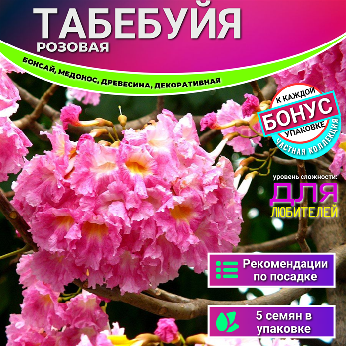 Табебуйя Розовая БОНСАЙ Комнатная Семена 5 шт + Бонус + Рекомендации по посеву БЕСПЛАТНО! 10222