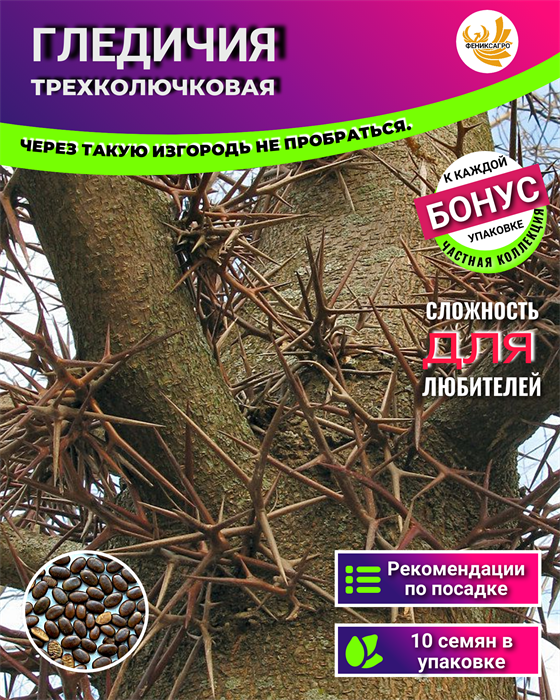 Гледичия Трехколючковая семена 10 шт + Бонус + Инструкции по посеву БЕСПЛАТНО! 10030