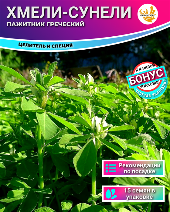 Хмели-Сунели Пажитник Греческий Семена 15 шт + Бонус + Рекомендации по посеву БЕСПЛАТНО! 10229