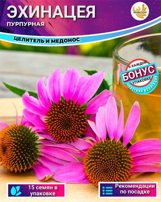 Эхинацея Пурпурная Лекарственная Семена 15 шт + Бонус + Рекомендации по посеву БЕСПЛАТНО! 10230
