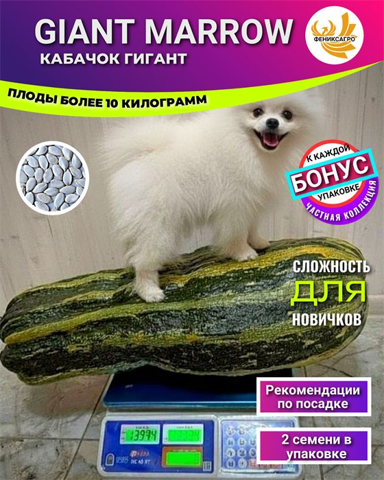 Кабачок Гигант Марроу Семена 2шт + Бонус + Рекомендации по Посеву БЕСПЛАТНО! 10231
