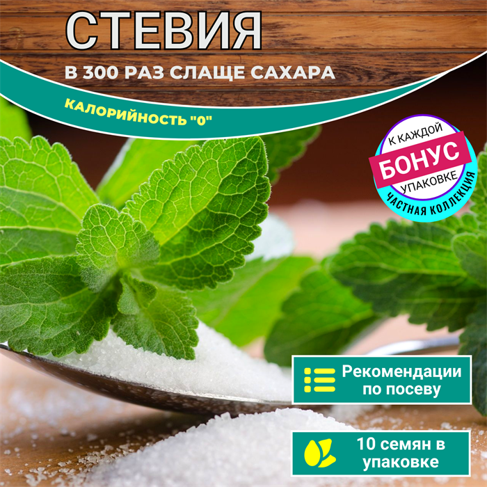 Стевия. В 300 раз Слаще Сахара. Семена 10 шт + Бонус + Рекомендации по посеву БЕСПЛАТНО! 10248