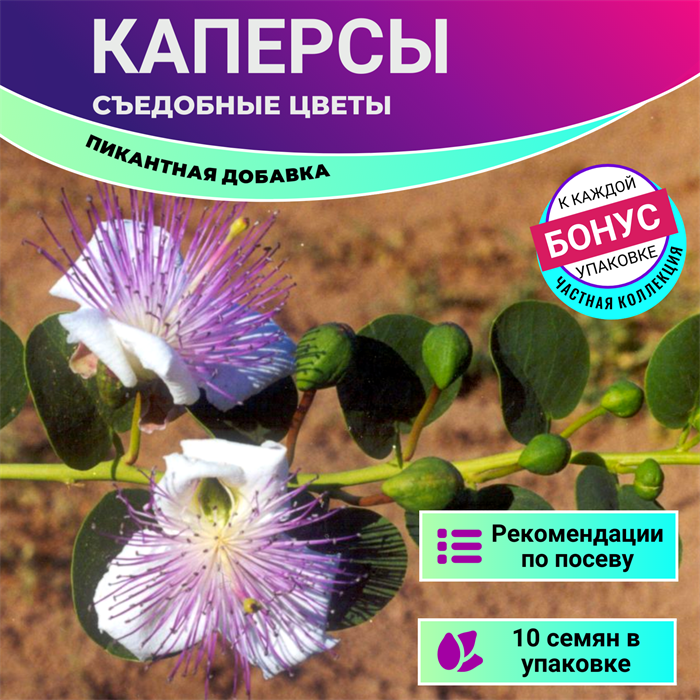 Каперсы. Съедобные Цветы. Семена 10 шт + Бонус + Рекомендации по посадке! 10249