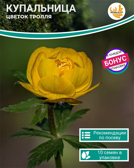 Цветок Тролля Купальница семена 10 шт + Бонус + Рекомендации по проращиванию БЕСПЛАТНО 10284
