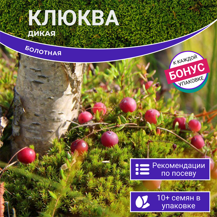 Клюква Дикая Болотная семена 10 шт + Бонус + Рекомендации по посадке! 10285